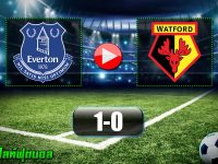 Everton 1-0 Watford