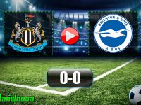 Newcastle United 0-0 Brighton & Hove Albion