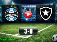 Gremio 3-0 Botafogo FR RJ