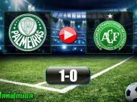 Palmeiras 1-0 Chapecoense AF