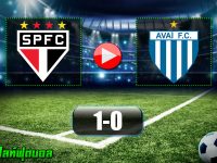 Sao Paulo 1-0 Avai FC