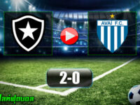 Botafogo FR RJ 2-0 Avai FC SC