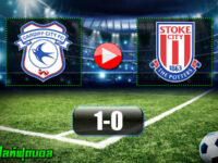 Cardiff City 1-0 Stoke City