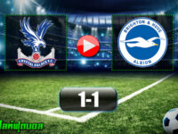 Crystal Palace 1-1 Brighton Hove Albion