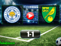Leicester City 1-1 Norwich City