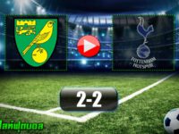 Norwich City 2-2 Tottenham Hotspur