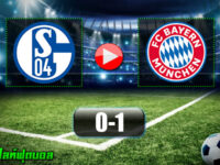 Schalke 04 0-1 Bayern Munich