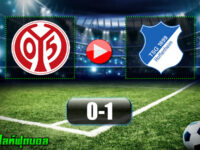 Mainz 05 0-1 Hoffenheim