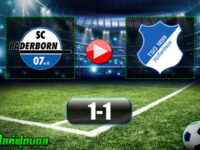 SC Paderborn 1-1 Hoffenheim