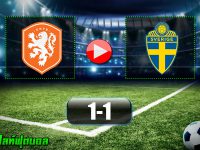 เนเธอร์แลนด์ 1-1 สวีเดน